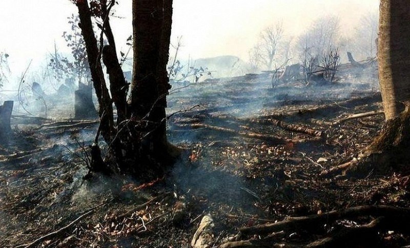Kiša ugasila 20-dnevni požar na Dinari u BiH
