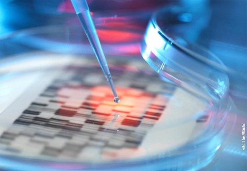 Nova metoda genomskog inženjeringa označava kraj naslednih bolesti?