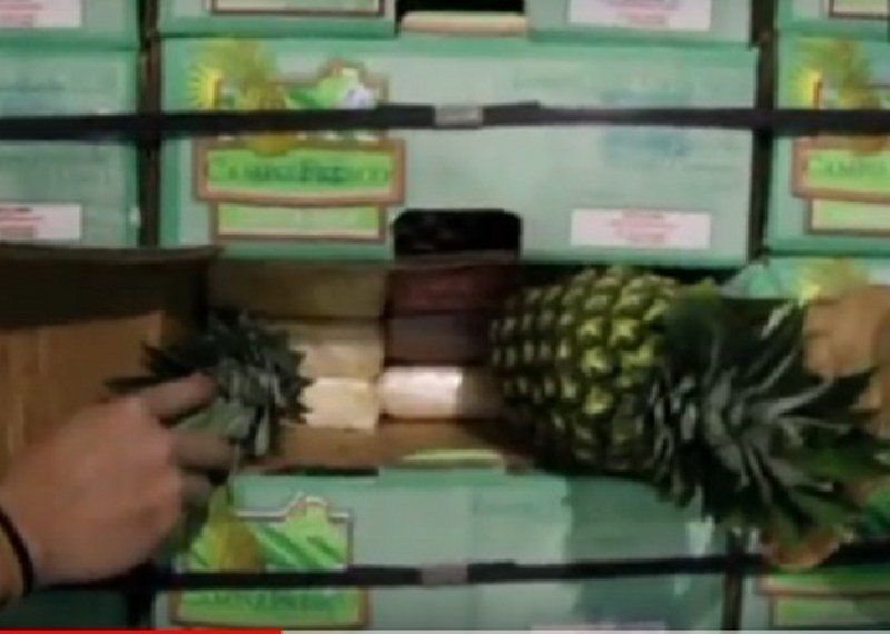 U ananasima skriveno 745 kilograma kokaina