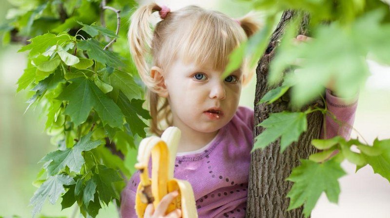 Evo šta se dešava u organizmu kada jedete nezrele banane