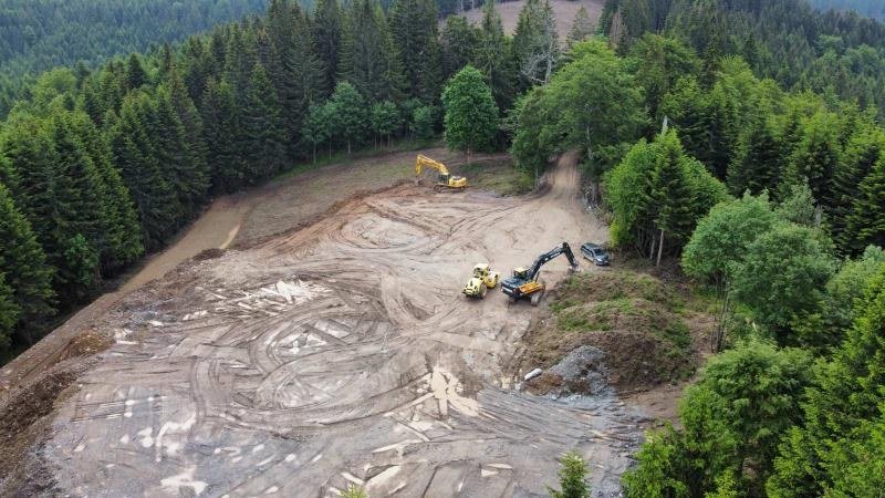 Derviš Karić kažnjen zatvorom zbog 2 m3 drva a Kompanija Adriatic Metals nekažnjeno posjekla 3000 m2 šume