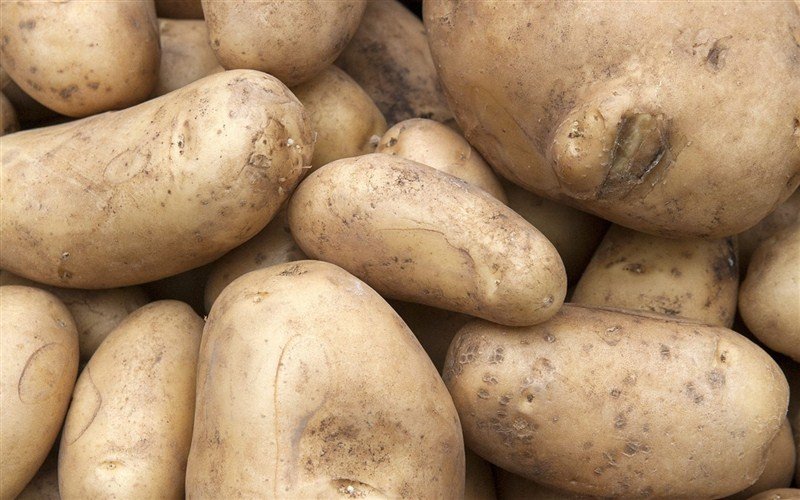Stigao sa zaraženih polja? Inspekcija vratila u Egipat pošiljku od gotovo 25 tona krumpira