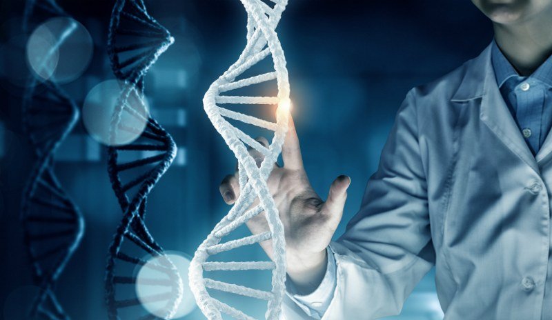 Skladištenje podataka u DNK