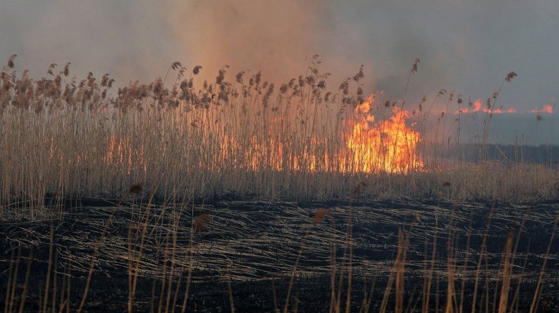 Požar u najvećem nacionalnom parku u Poljskoj