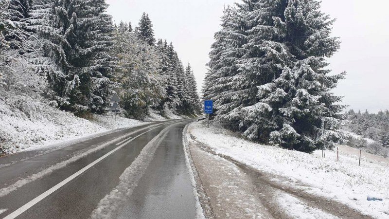 Pao prvi snijeg! Bajkoviti prizori na planinama zapadne Srbije, na Tari napadalo čak 10 cm (Foto)