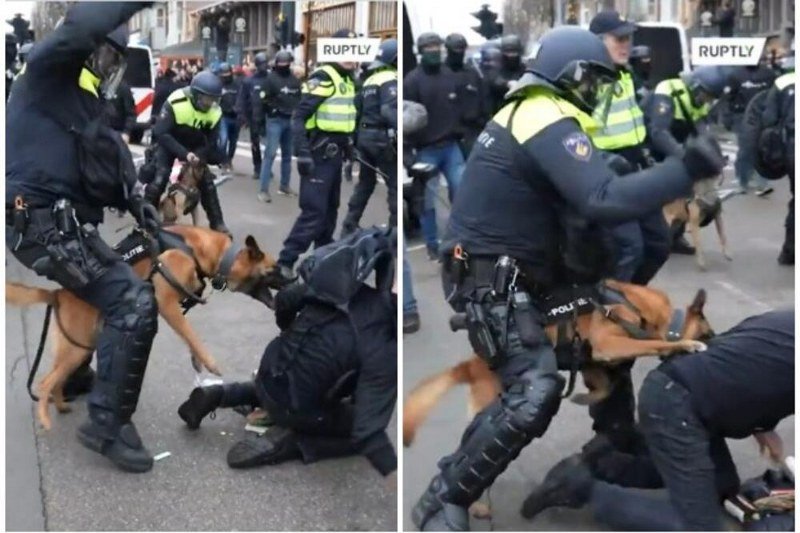 Gori planeta - Brutalno oduzimanje slobode - Policijski pas bijesno grize demonstranta dok ga policajac pendreči (Video)