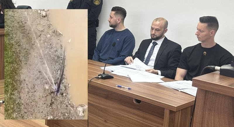 Karton revolucija u sudnici: Postoje li -plodovi otrovne voćke- u procesu protiv Selmana i Musića?