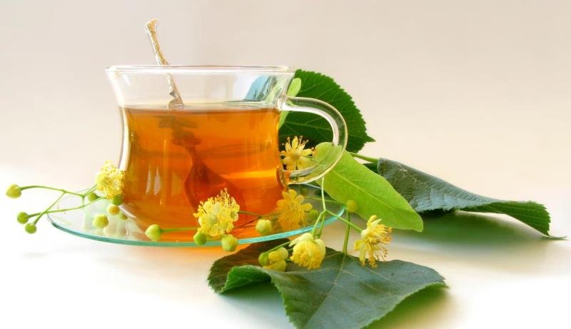 Bijeli sljez u borbi protiv suvog kašlja